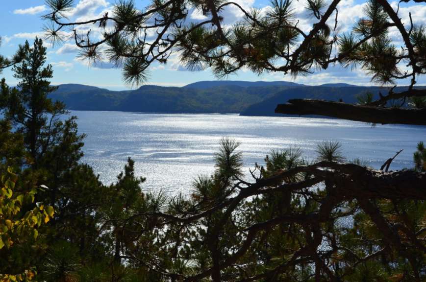 Ein Blick auf einen See durch die Bäume