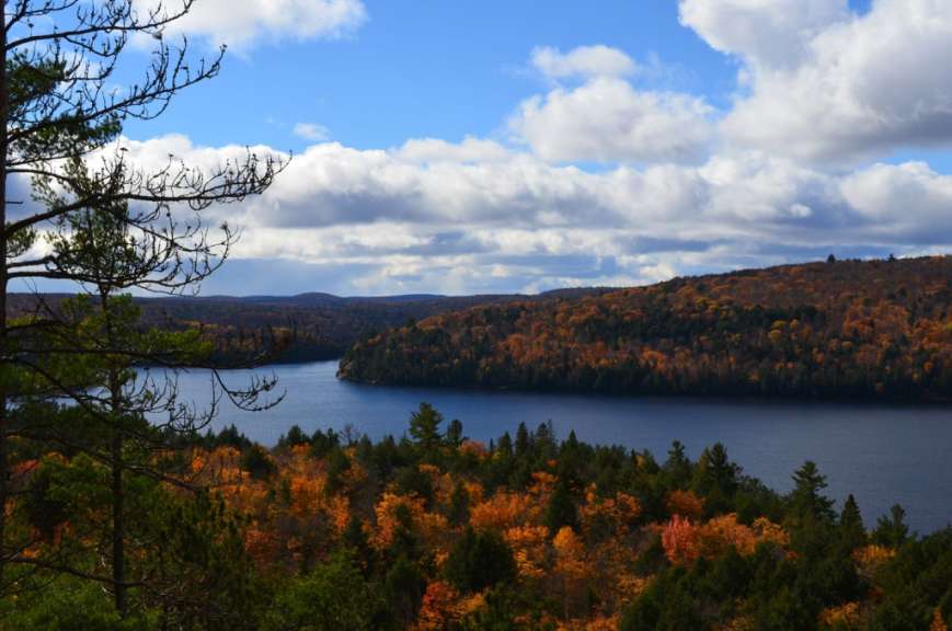 Ein See umgeben von Bäumen an einem sonnigen Tag