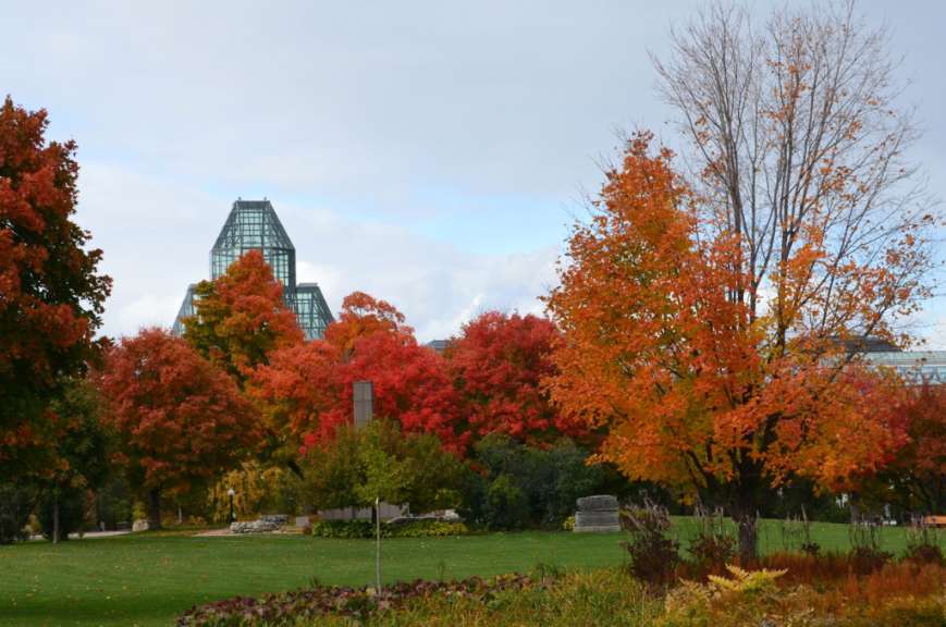Ein Park mit bunten Bäumen und einem Gebäude im Hintergrund