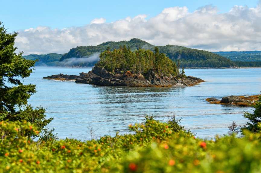 Eine kleine Insel im Ozean mit Bäumen darauf