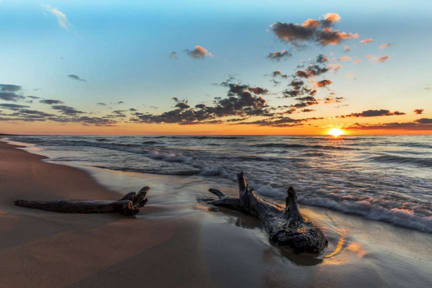 Treibholz liegt am Strand bei Sonnenuntergang