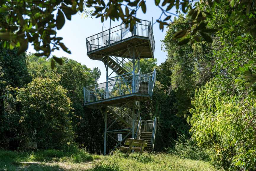Ein Aussichtsturm aus Metall mit Treppen und Geländern steht inmitten von üppiger grüner Vegetation unter einem blauen Himmel.