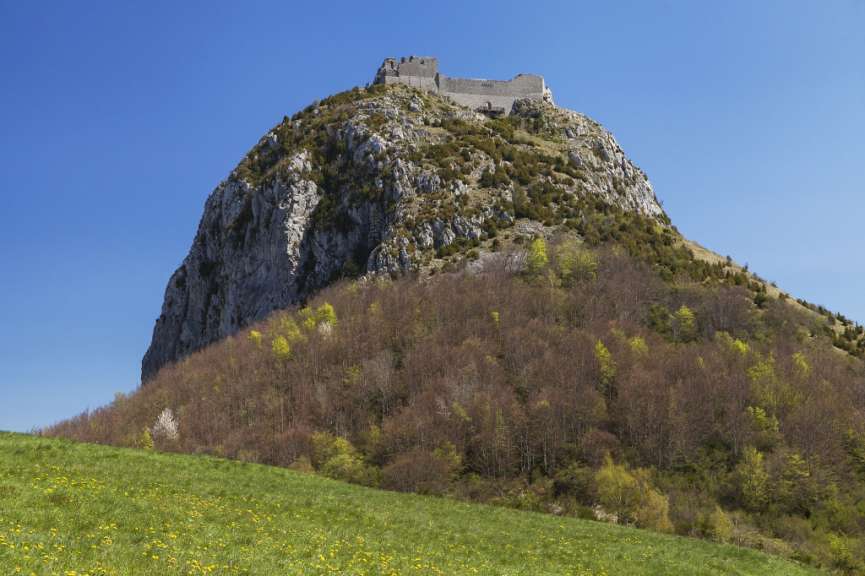 Ein hellblau klarer Himmel überragt eine felsige Bergkuppe mit einer Burgruine, deren untere Hänge mit kahlen Bäumen und aufkommendem Frühlingsgrün bedeckt sind, während im Vordergrund eine blühende Blumenwiese liegt.