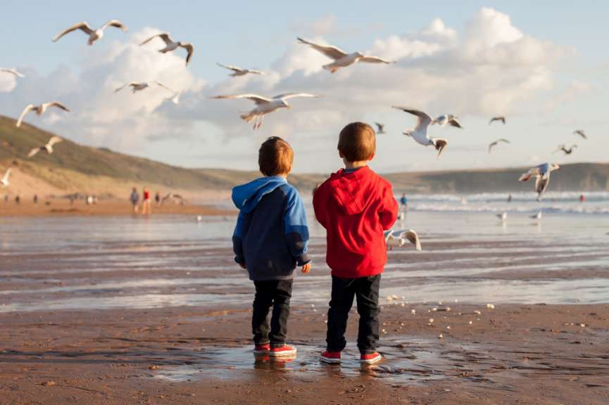 Zwei Jungen stehen am Strand und beobachten Möwen