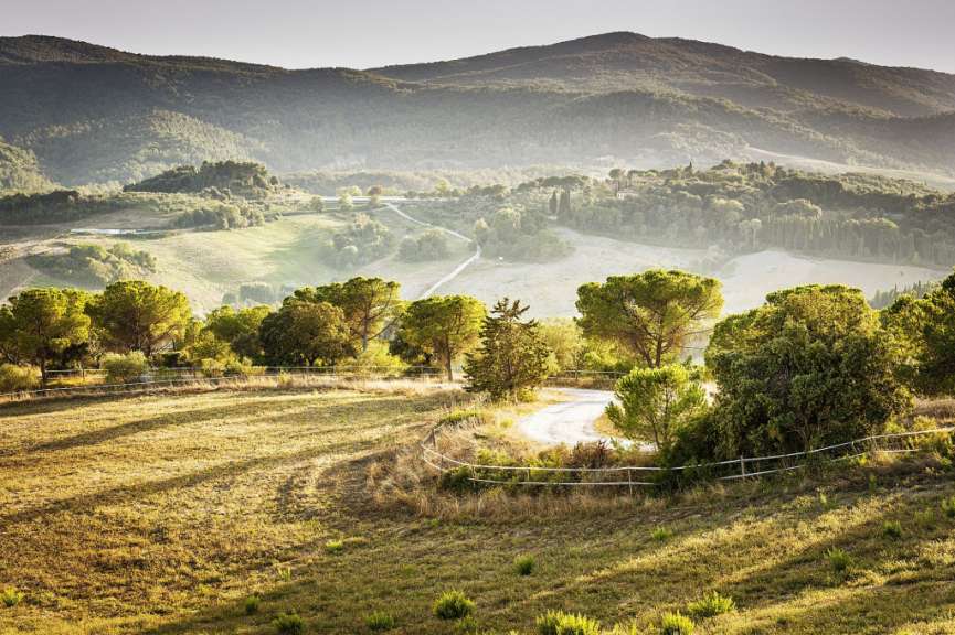 Ein Feld mit einem weißen Zaun umgeben von Bäumen und Bergen