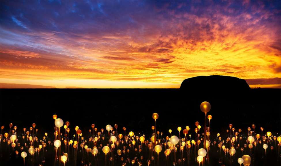 Ein Sonnenuntergang über einem Feld mit bunten Luftballons