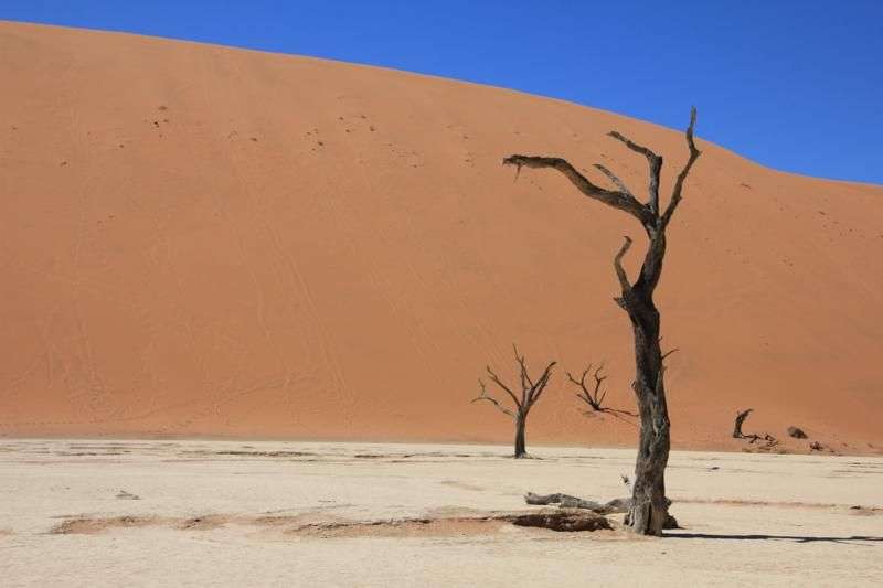 Deadvlei