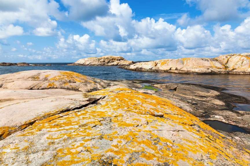 Ein felsiger Küstenabschnitt mit blauen Wasser, hellen Felsen, die mit orangefarbener Flechte bedeckt sind, und einem bewölkten Himmel.