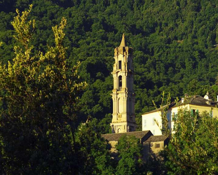 Ein Glockenturm steht inmitten eines Waldes