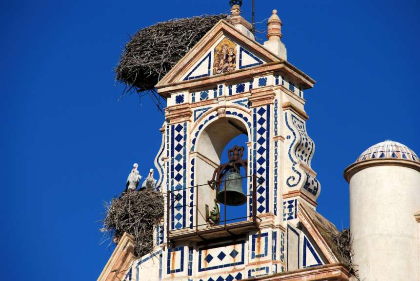 Ein Storchennest mit zwei Störchen sitzt auf einem verzierten Kirchturm vor blauem Himmel.