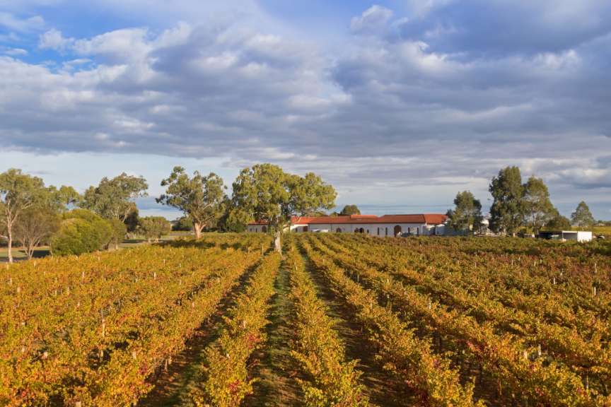 Ein Weingut mit roten Ziegeldächern liegt hinter einem weitläufigen Feld mit herbstlichen Weinreben.