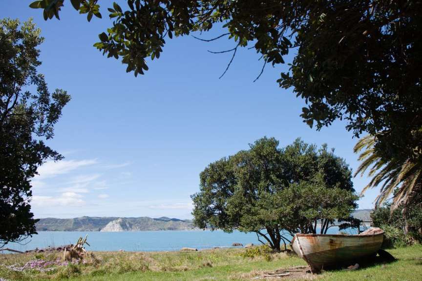 Ein verrostetes Boot sitzt auf einer Wiese mit Blick auf den Ozean