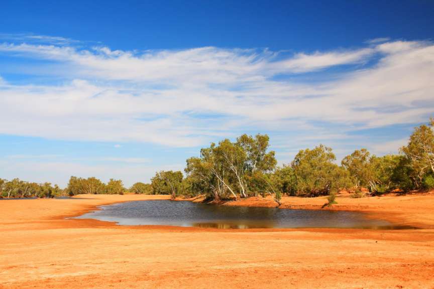 Ein blauer Himmel mit dünnen weißen Wolken überspannt eine flache Wasserfläche, die von schlammig-rotem Sand und darauf wachsenden Bäumen gesäumt wird.