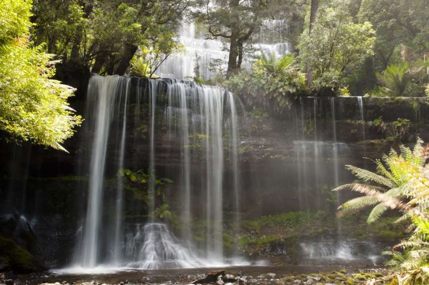 Ein Wasserfall in einem Wald mit vielen Bäumen