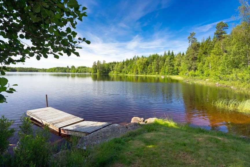 Ein kleiner Holzsteg liegt am Ufer eines Sees