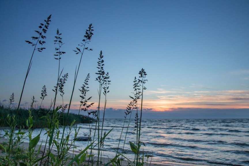 Ein Sonnenuntergang am Strand mit Gras im Vordergrund