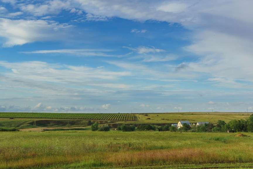 Eine weite Landschaft mit Feldern und einer Baumreihe unter einem bewölkten Himmel.