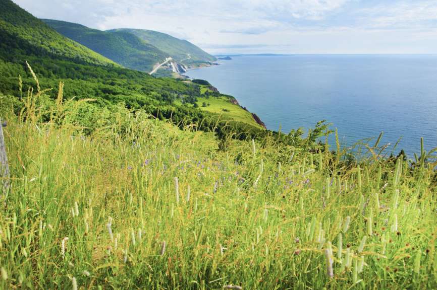 Ein grüner Hügel mit Blick auf das Meer