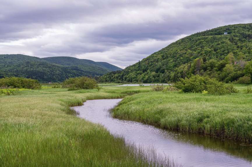 Ein Fluss fließt durch eine Wiese mit Bergen im Hintergrund