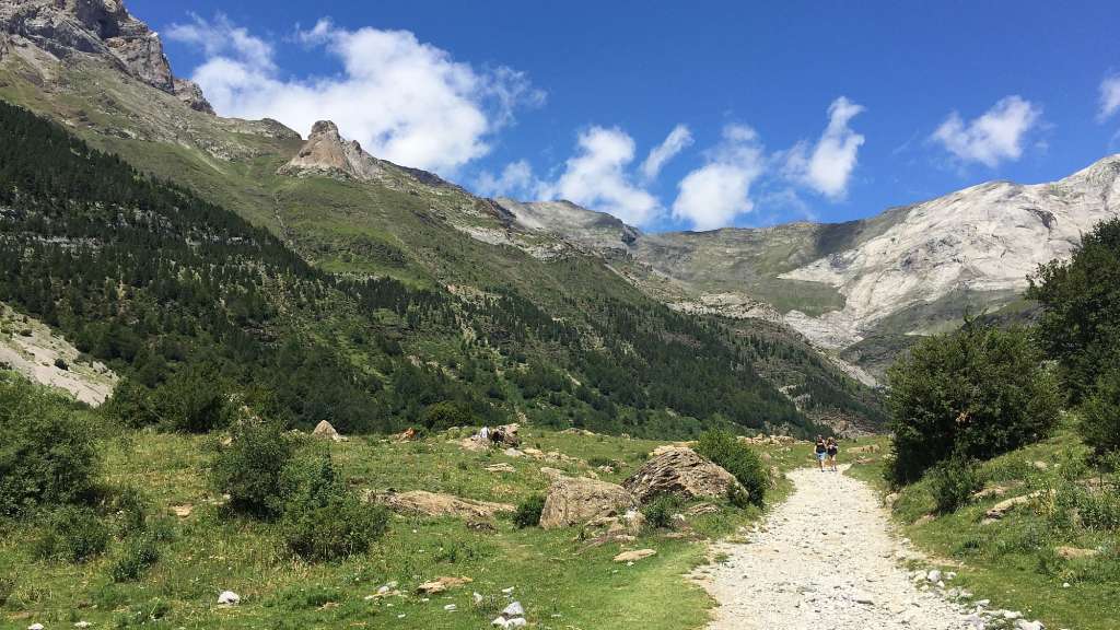 Bruno, Sursee, Schweiz