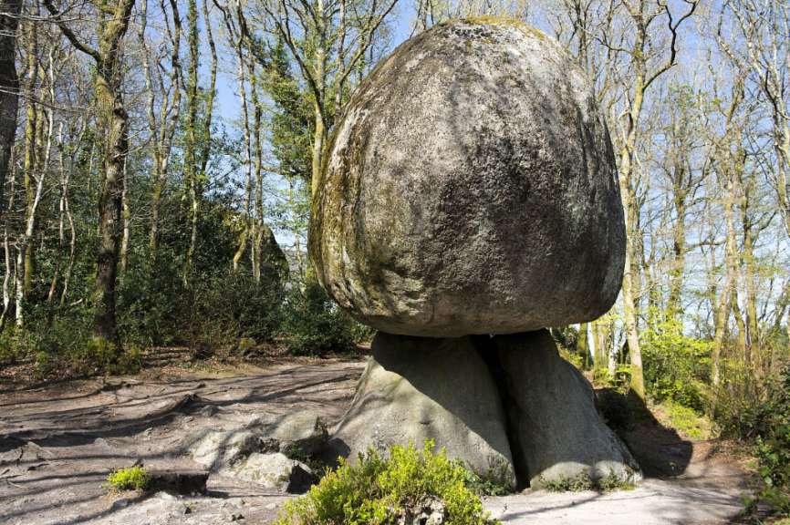 Ein großer Stein, der wie ein Pilz aussieht und in einem Wald sitzt