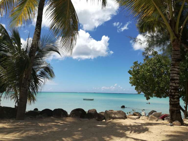 Ein Strand mit Palmen und einem Boot im Hintergrund