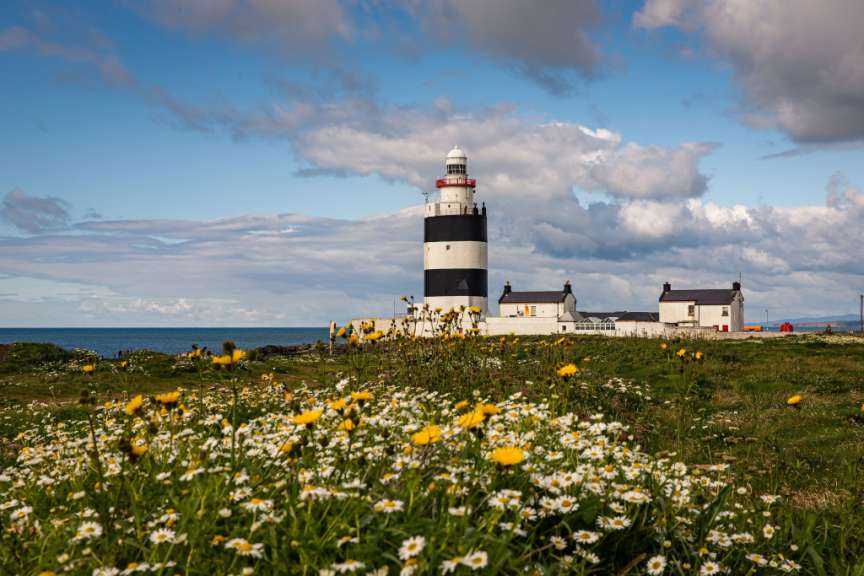 Ein schwarz-weiß gestreifter Leuchtturm steht auf einer felsigen Küste, umgeben von grüner Wiese voller Gänseblümchen und gelber Blumen, vor einem blauen Himmel mit Wolken.