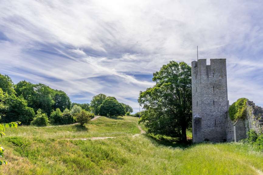 Ein Turm steht inmitten eines Feldes mit Bäumen