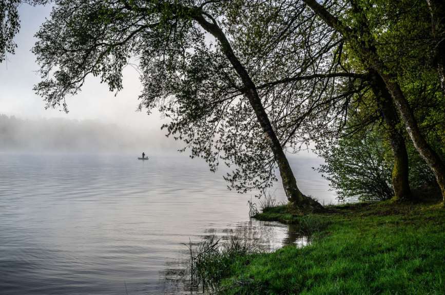 Morgennebel am Lac des Settons