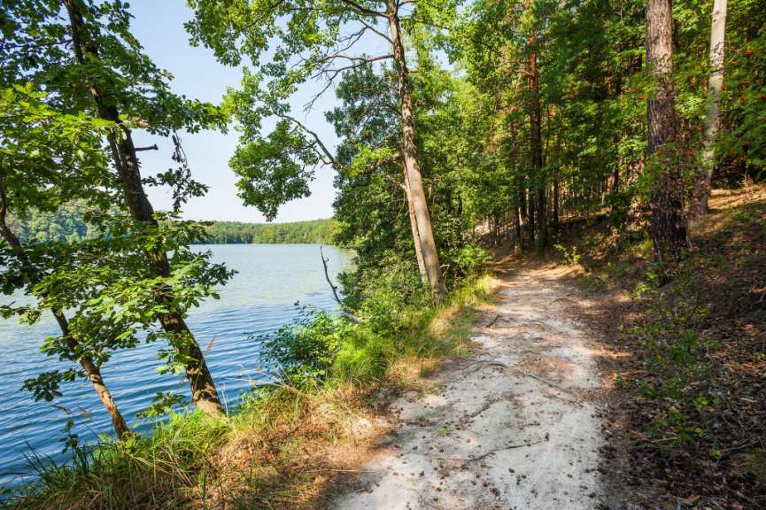 Ein Pfad führt durch einen Wald neben einem See