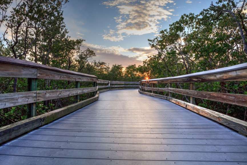 Eine Holzbrücke führt durch einen Wald bei Sonnenuntergang
