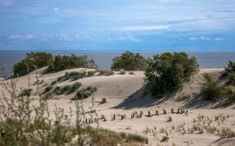 Ein sandiger Strand mit Bäumen und einem blauen Himmel im Hintergrund