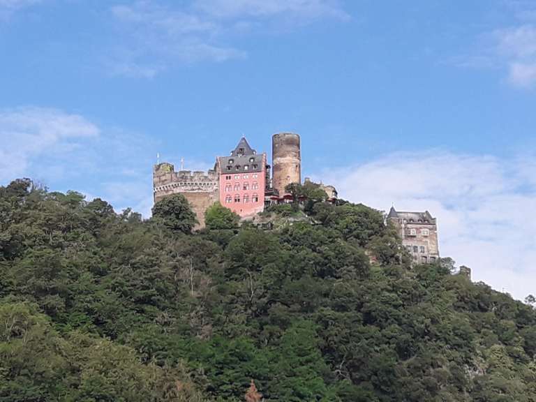 Florian
