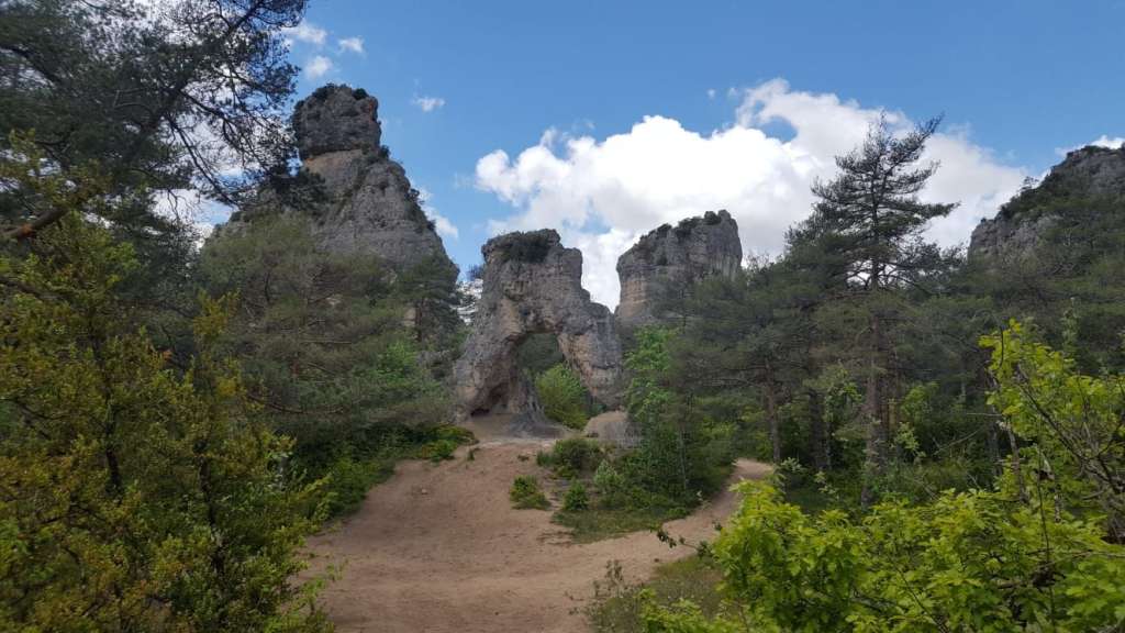 Eine Felsformation inmitten eines Waldes