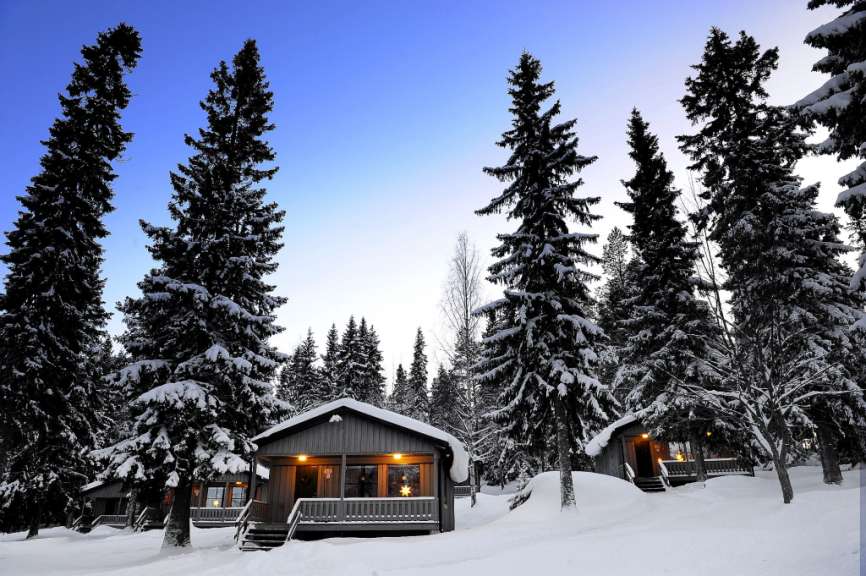 Eine Gruppe von Häusern in einem schneebedeckten Wald