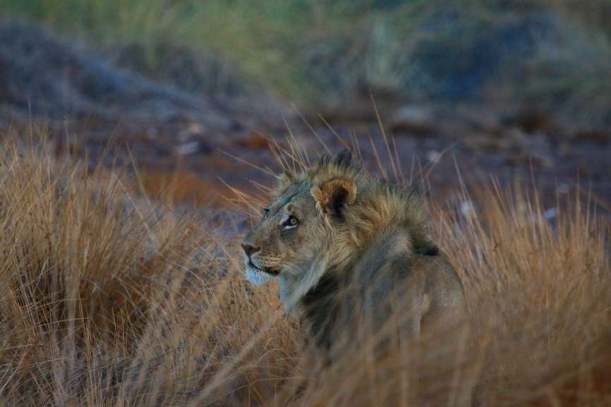 Markus & Christine Schriewer