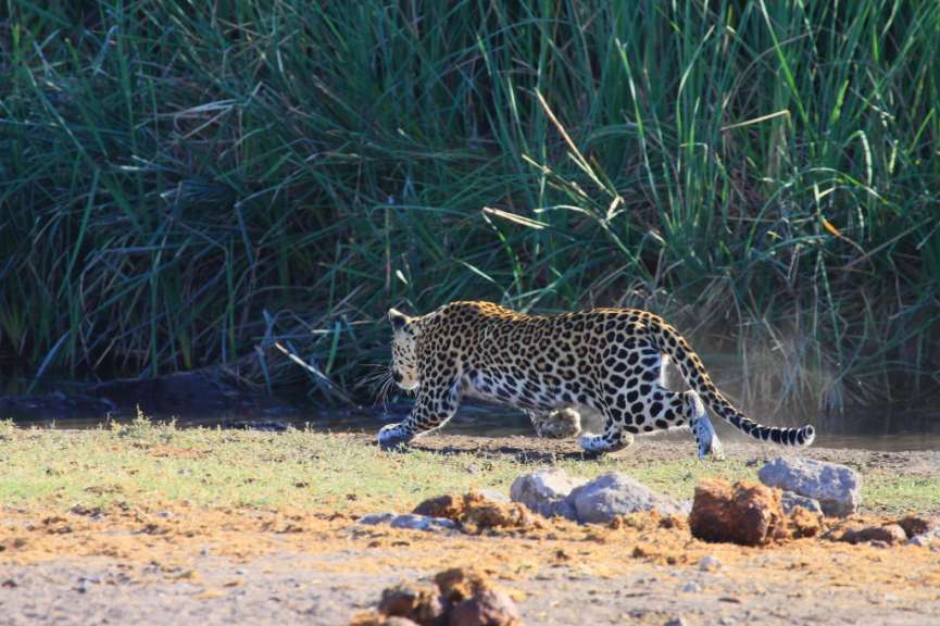 Markus & Christine Schriewer