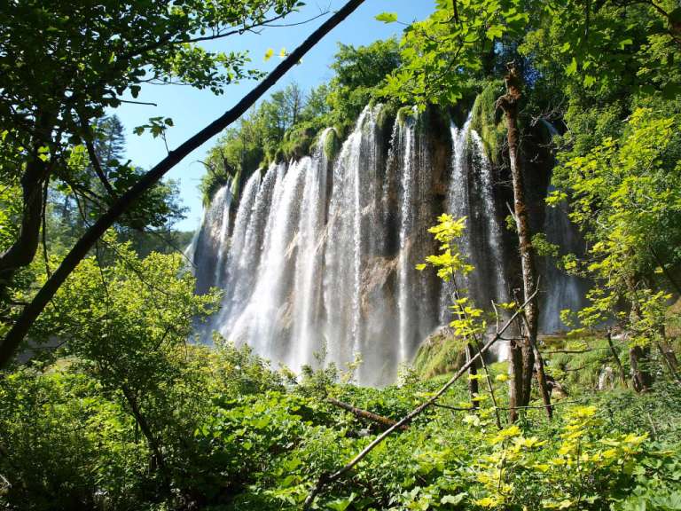 Ein Wasserfall inmitten eines grünen Waldes