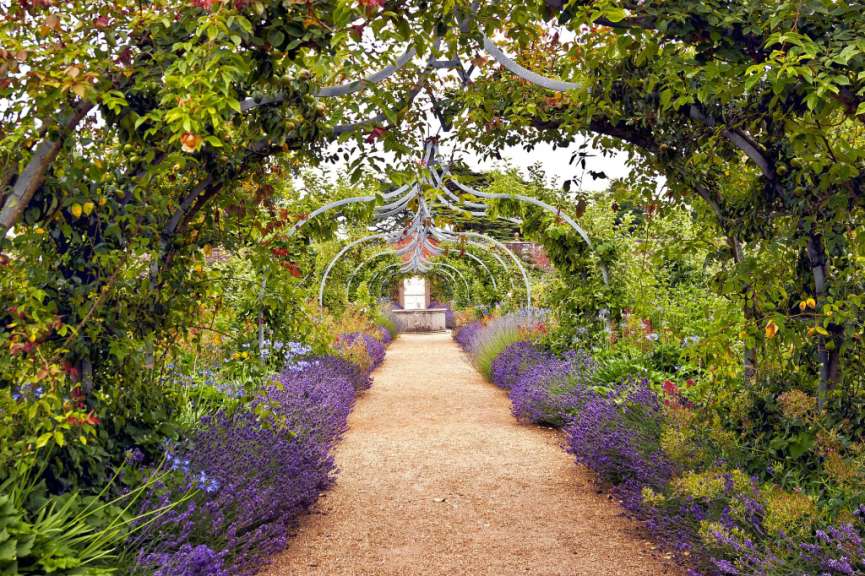 Ein Gartenweg mit lila Blüten und grünen Bäumen