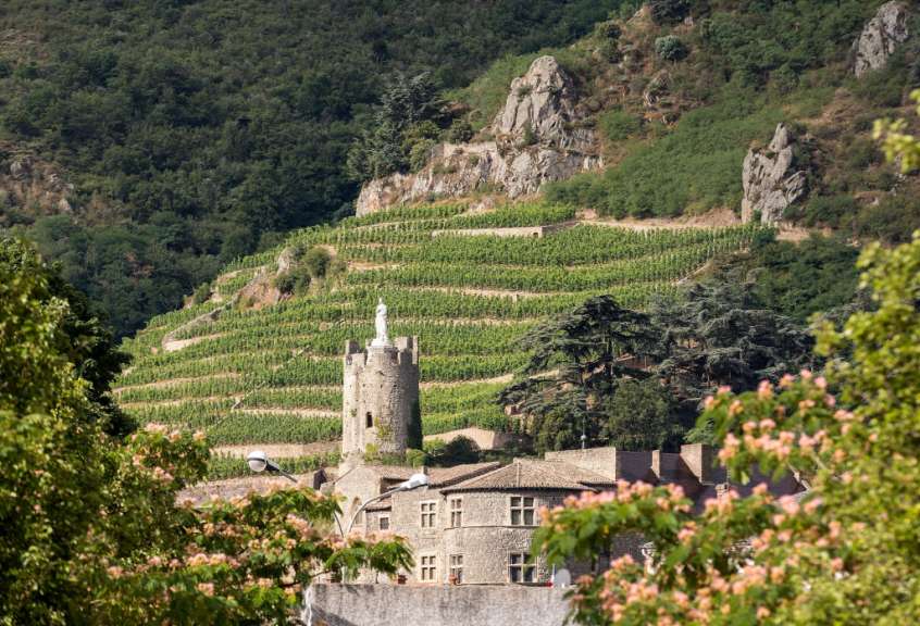 Auf einem sonnigen Hügel mit Weinbergen und Bäumen steht ein alter Steinturm mit einer Statue, vor einem Gebäude mit Ziegeldach.
