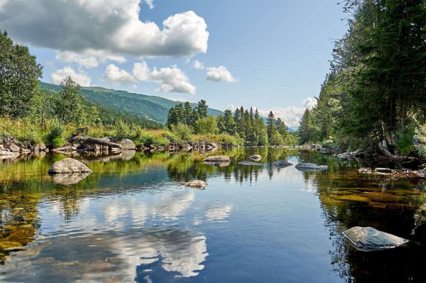 Ein ruhiger Fluss fließt durch eine grüne Landschaft unter einem wolkenverhangenen Himmel.