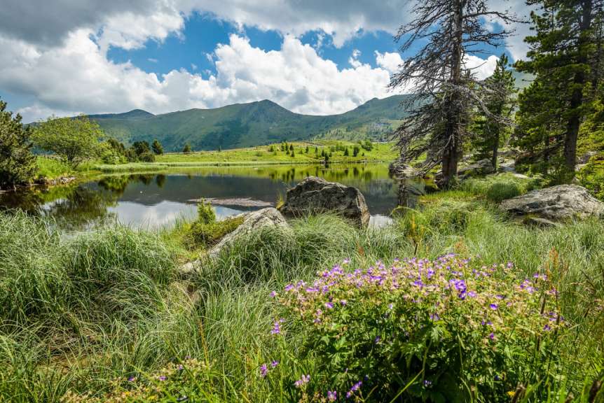 Ein See mit Bergen im Hintergrund und lila Blumen im Vordergrund
