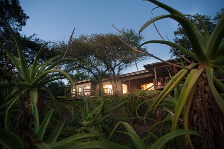 Ein Haus mit einer Veranda umgeben von Aloe Vera-Pflanzen