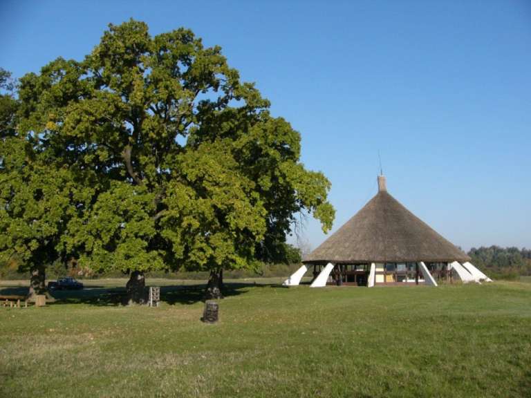 Ein großer Baum steht in einem Feld neben einem Strohdach