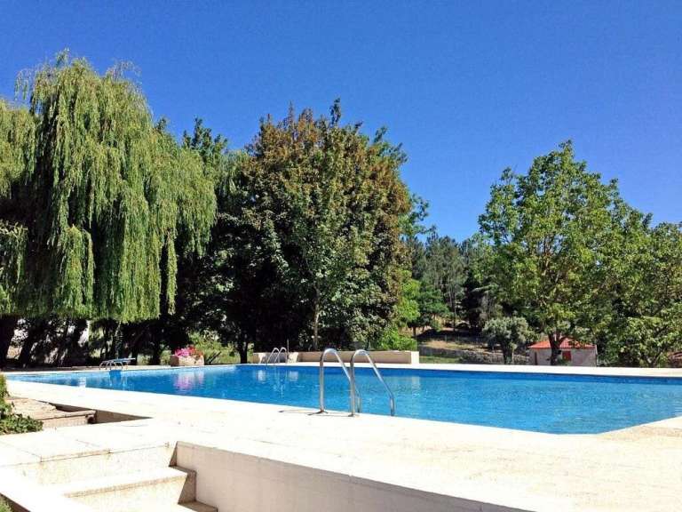 Ein großer Swimmingpool umgeben von Bäumen an einem sonnigen Tag