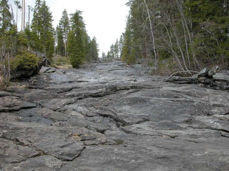 Ein großer Felsen inmitten eines Waldes