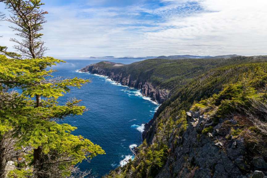 Ein Blick auf den Ozean von einer Klippe mit Bäumen