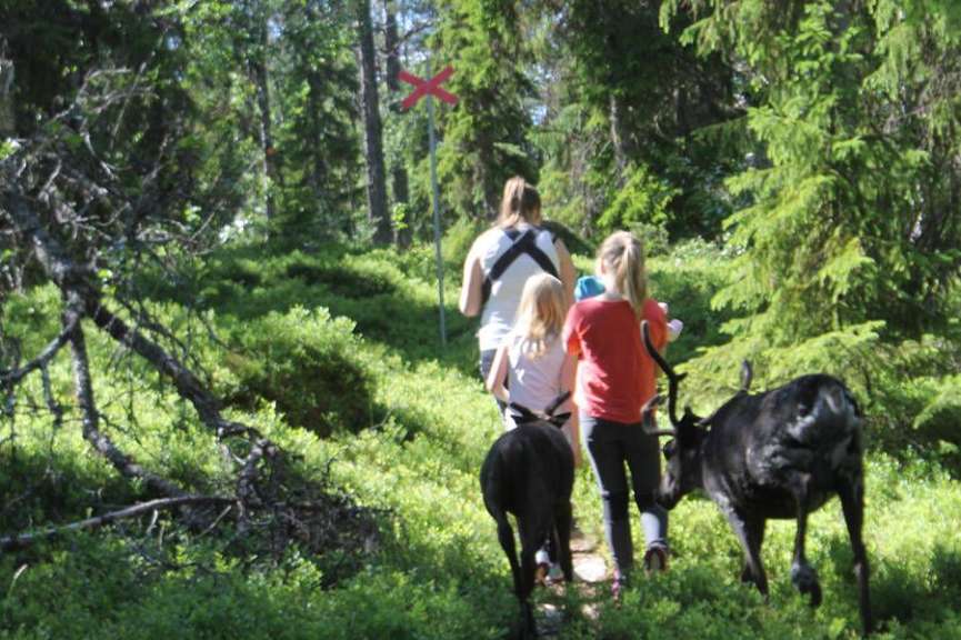Eine Gruppe von Menschen geht durch einen Wald mit Ziegen