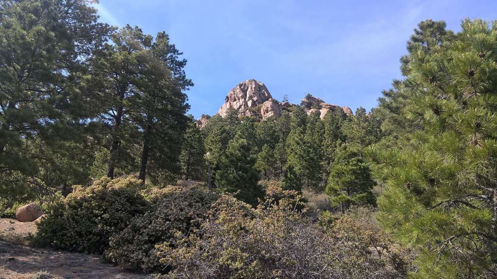 Ein Berg, der aus einem Wald herausragt