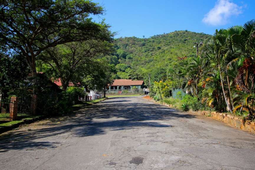 Eine Straße mit vielen Bäumen und einem Haus am Ende